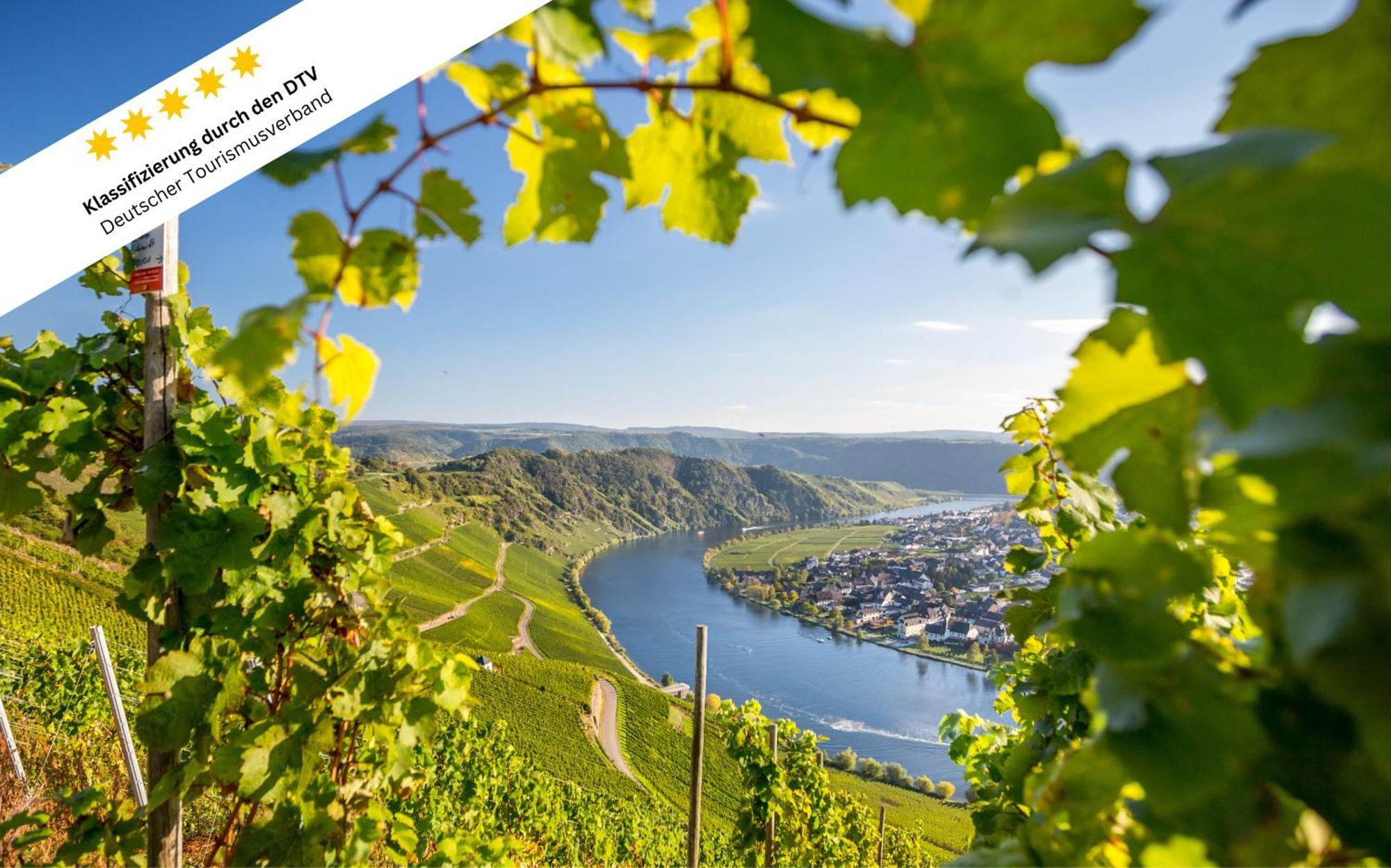 Wohlfuehloase An Der Mosel Leilighet Osann-Monzel Eksteriør bilde